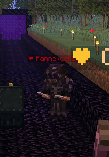 File:Pannekoek15NL SpawnTown.png