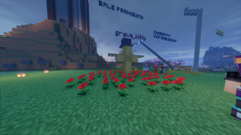 File:The Poppy Field at SpawnTown.png