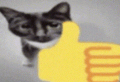 Thumbnail for version as of 06:48, 18 June 2026