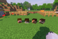 Thumbnail for version as of 14:24, 2 September 2026