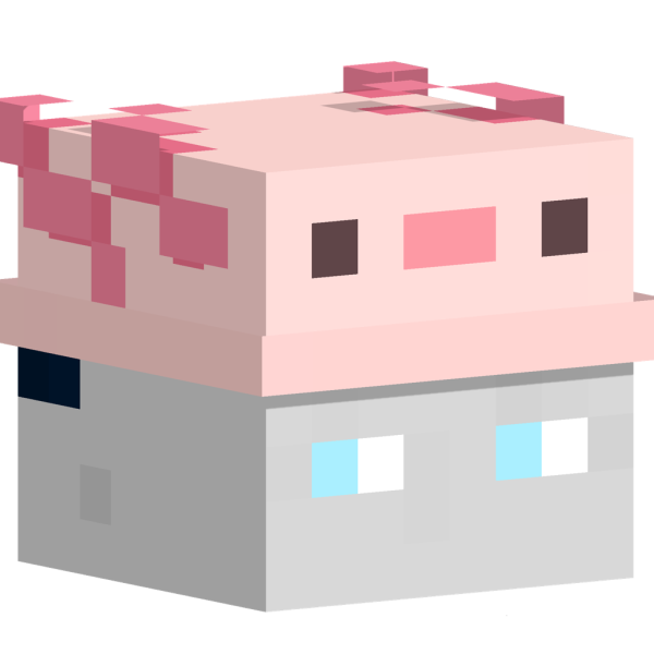 File:JqnasGHG's Head.png