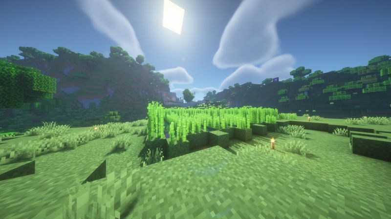 File:2026-01-31 12.22.16.jpg