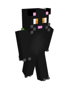 Black_Cat_Luck