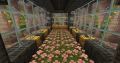 Thumbnail for version as of 13:11, 23 August 2025