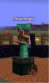 Thumbnail for version as of 03:11, 20 May 2026