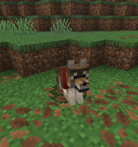 File:Lost Pet Example.png