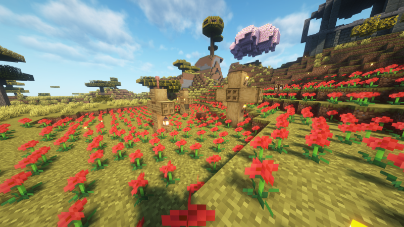 File:Poppy field graves.png